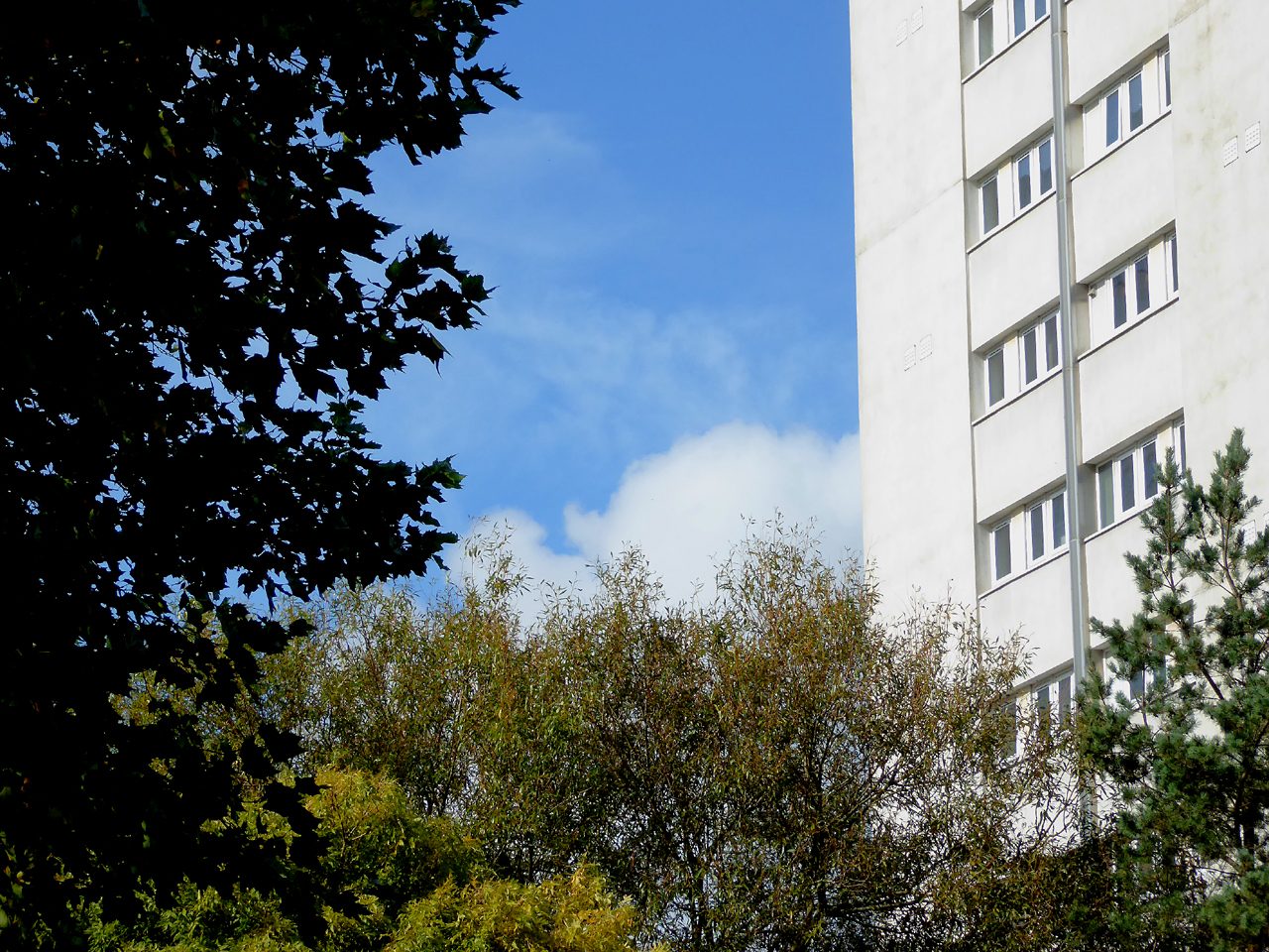 Birmingham tower block on a sunny day